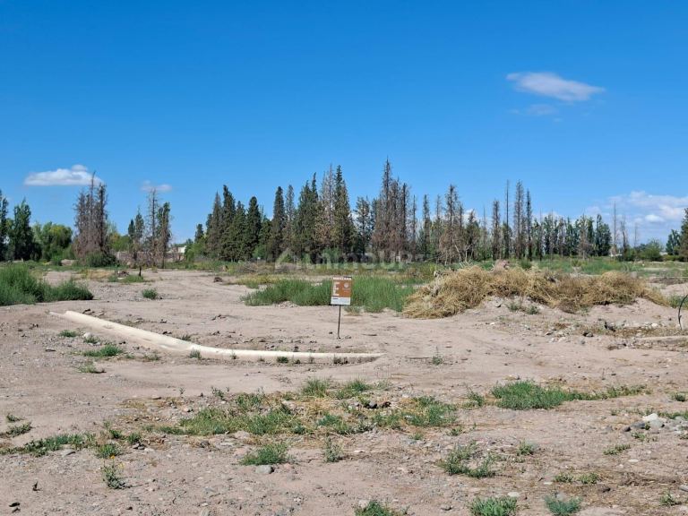 Lote en Venta en Maipu, Mendoza
