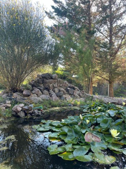 Casa Quinta en Venta en Lujan de Cuyo, Mendoza
