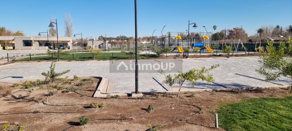 Lote en Venta en Lujan de Cuyo, Mendoza