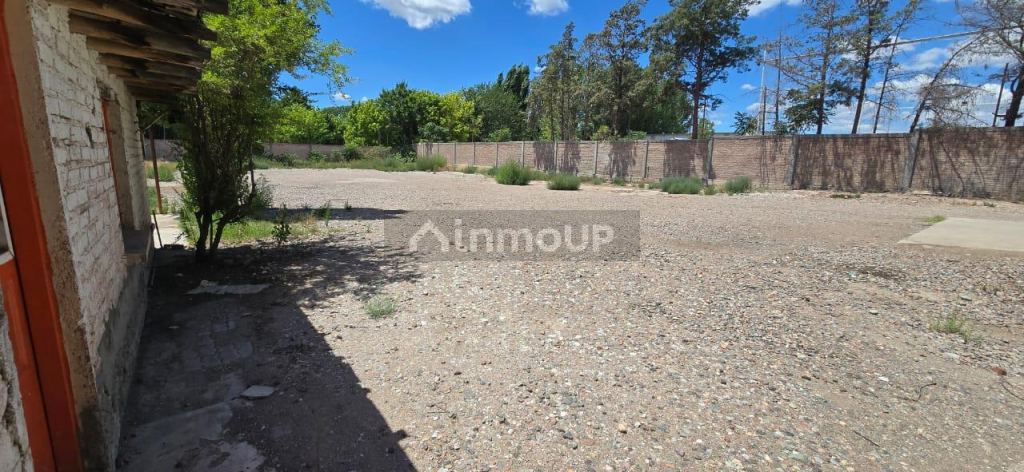 Galpon en Alquiler en Lujan de Cuyo, Mendoza