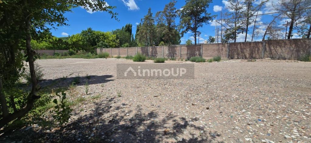 Galpon en Alquiler en Lujan de Cuyo, Mendoza