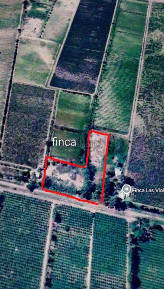 Finca en Venta en San Martin, Mendoza