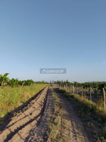 Finca en Venta en San Martin, Mendoza