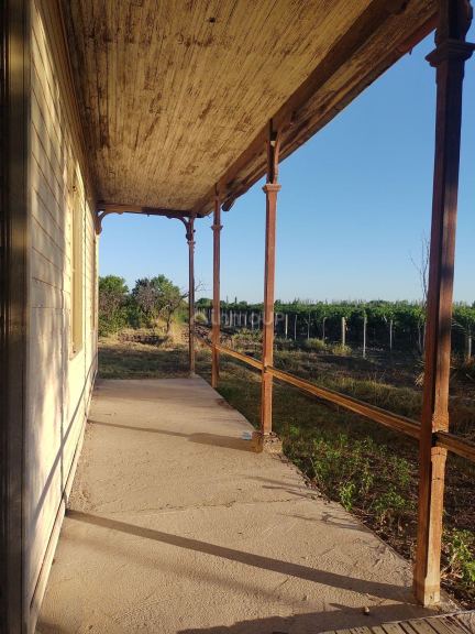 Finca en Venta en San Martin, Mendoza