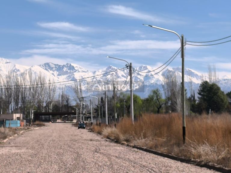 Lote en Venta en Lujan de Cuyo, Mendoza