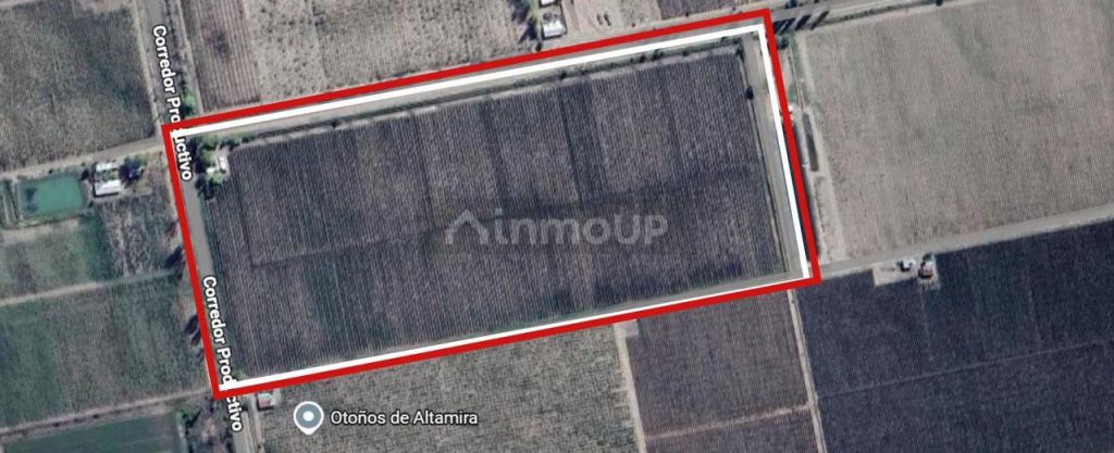 Finca en Venta en San Carlos, Mendoza