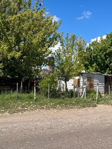 Finca en Venta en San Carlos, Mendoza