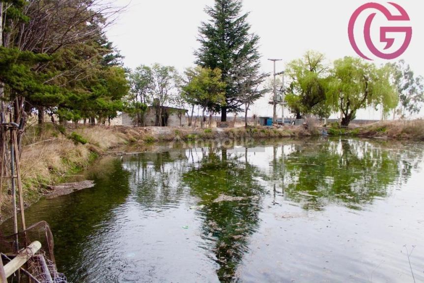 Finca en Venta en Tunuyan, Mendoza