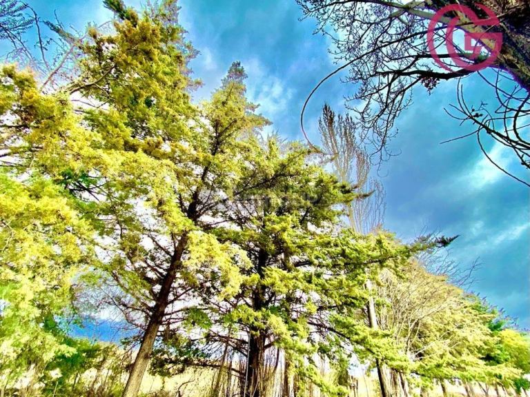 Finca en Venta en Tunuyan, Mendoza