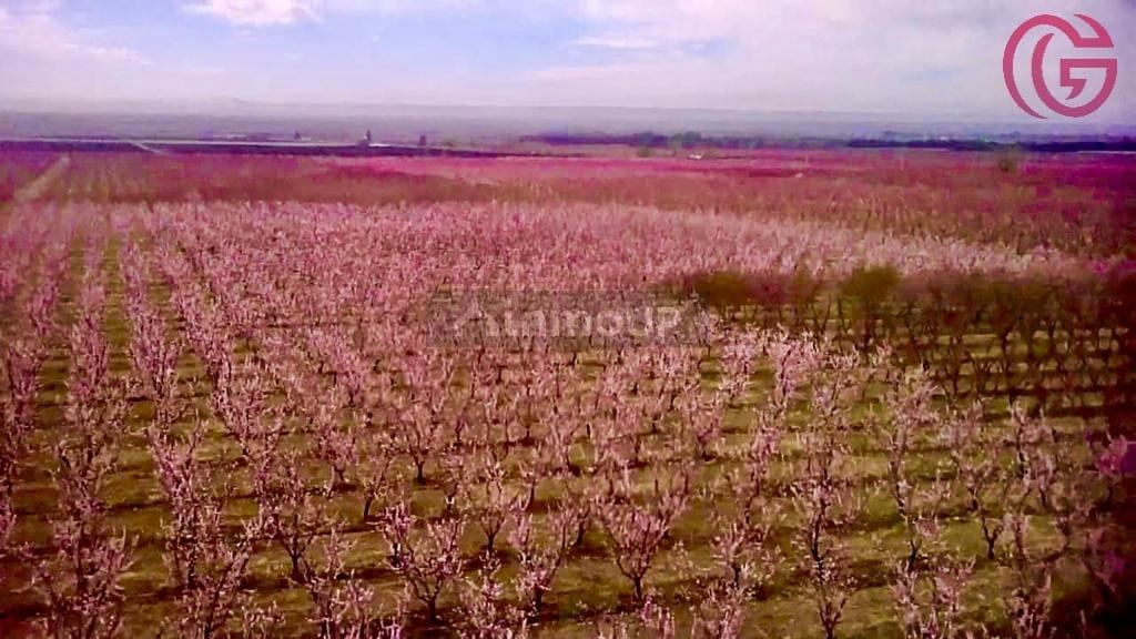 Finca en Venta en Tunuyan, Mendoza