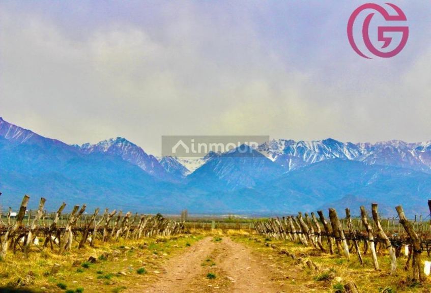 Finca en Venta en Tunuyan, Mendoza