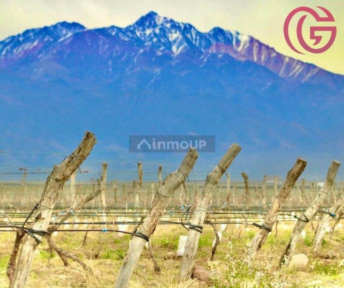 Finca en Venta en Tunuyan, Mendoza