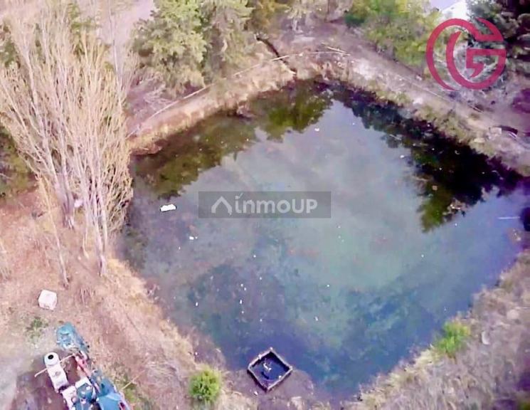 Finca en Venta en Tunuyan, Mendoza