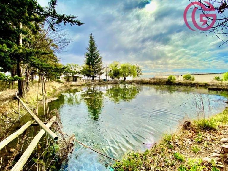 Finca en Venta en Tunuyan, Mendoza