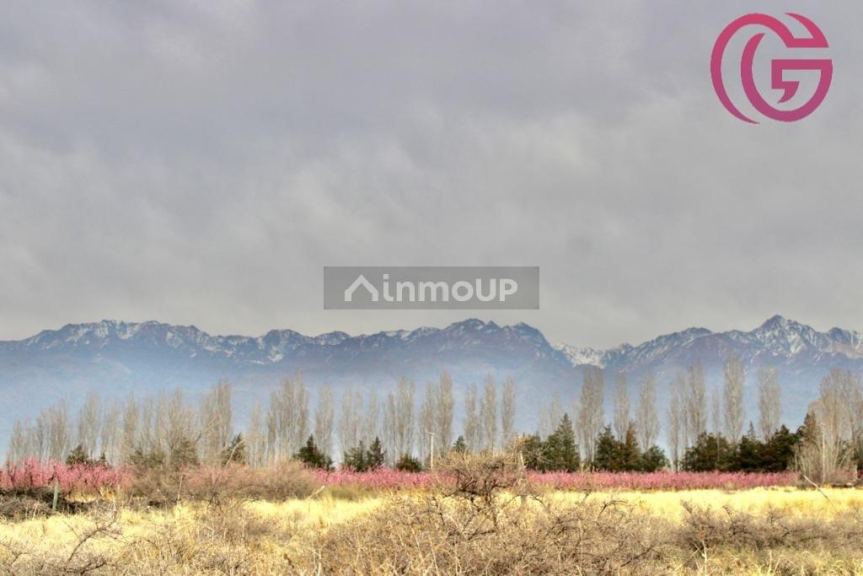 Finca en Venta en Tunuyan, Mendoza