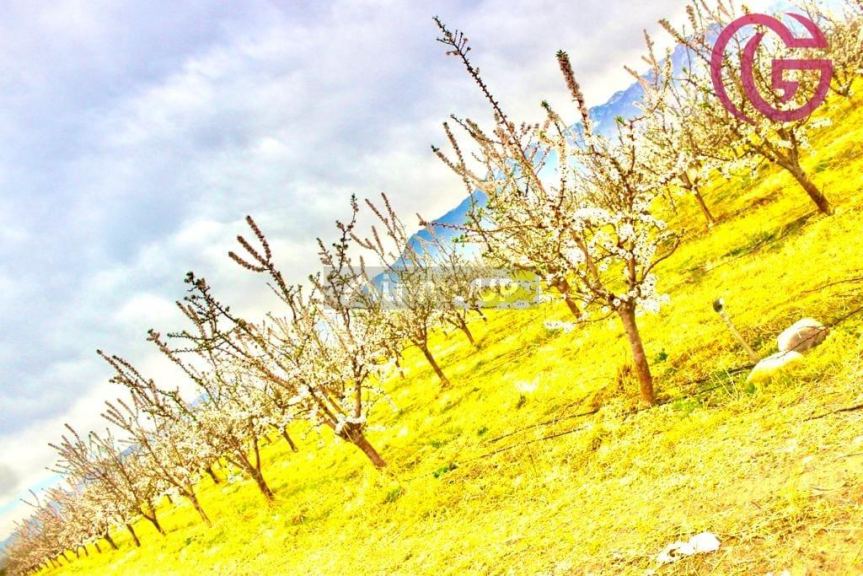 Finca en Venta en Tunuyan, Mendoza