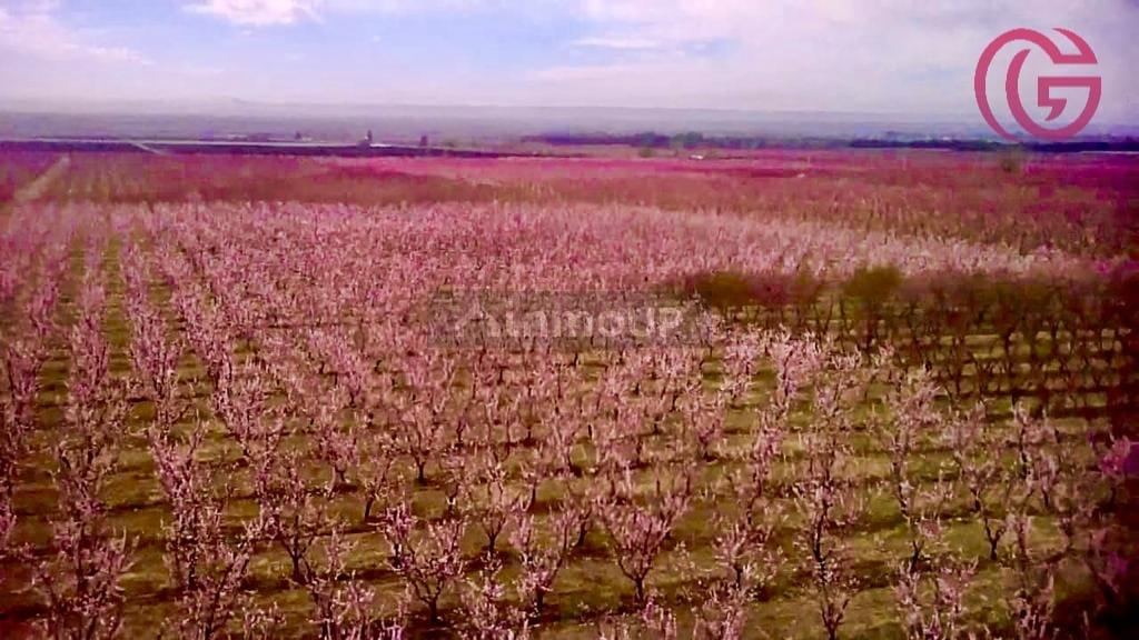 Finca en Venta en Tunuyan, Mendoza
