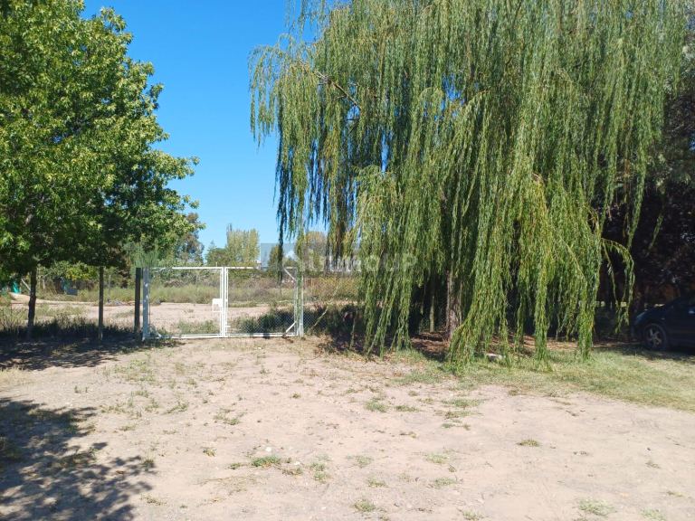 Lote en Venta en Lujan de Cuyo, Mendoza