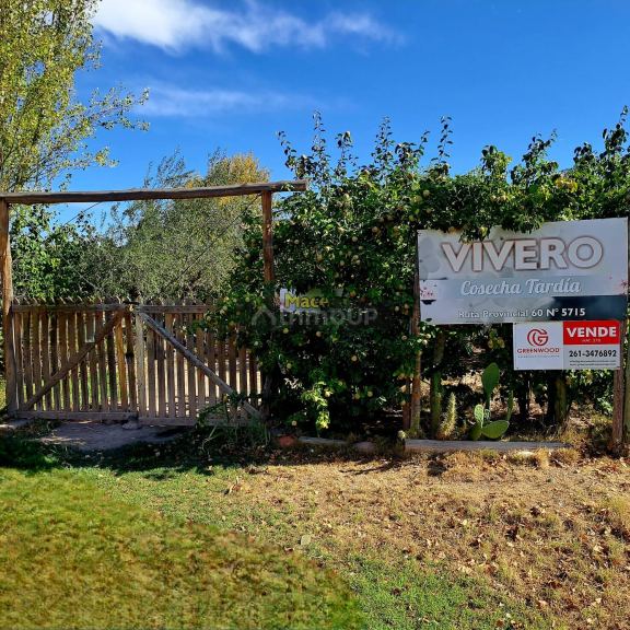 Terreno en Venta en Maipu, Mendoza