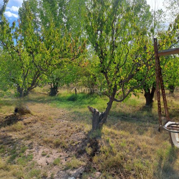 Terreno en Venta en Maipu, Mendoza