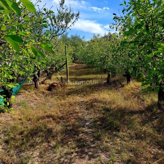 Terreno en Venta en Maipu, Mendoza