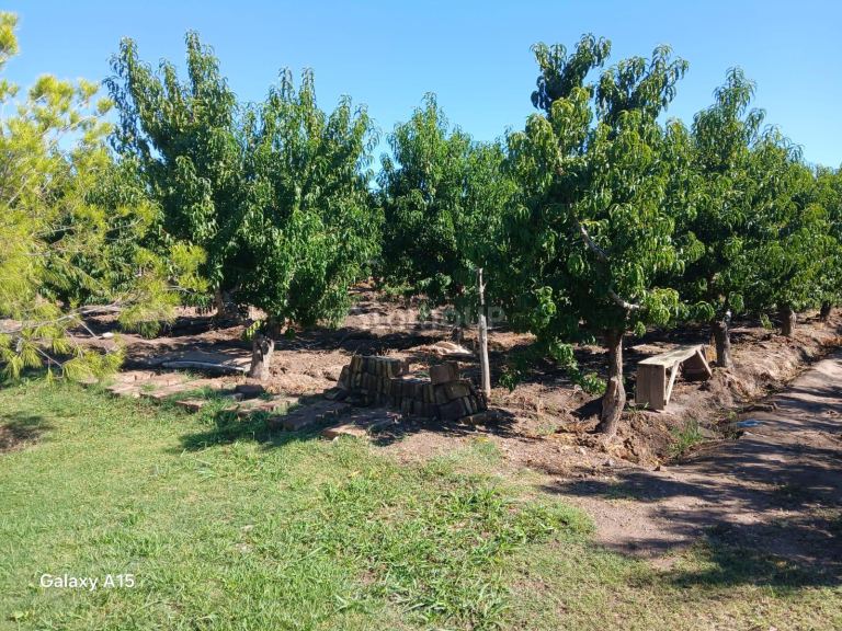 Finca en Venta en Maipu, Mendoza