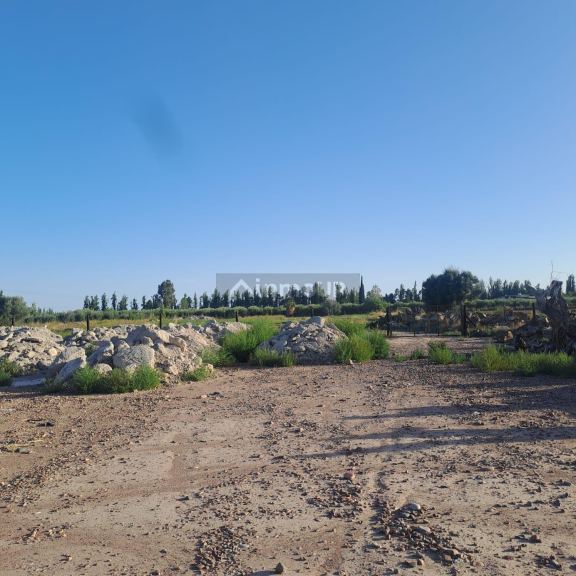 Terreno en Venta en Maipu, Mendoza