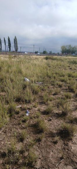 Lote en Venta en Lujan de Cuyo, Mendoza