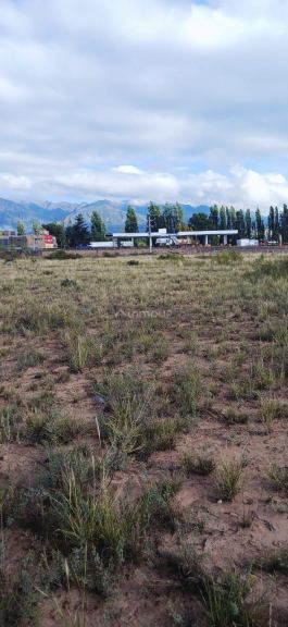 Lote en Venta en Lujan de Cuyo, Mendoza