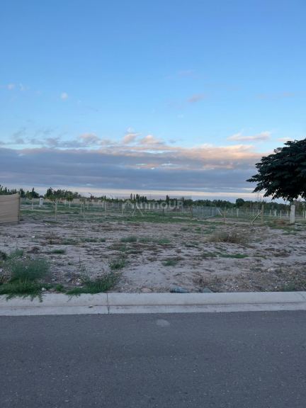 Lote en Venta en Lujan de Cuyo, Mendoza