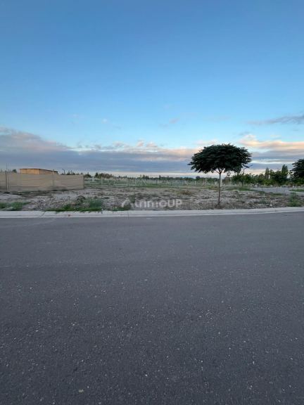 Lote en Venta en Lujan de Cuyo, Mendoza