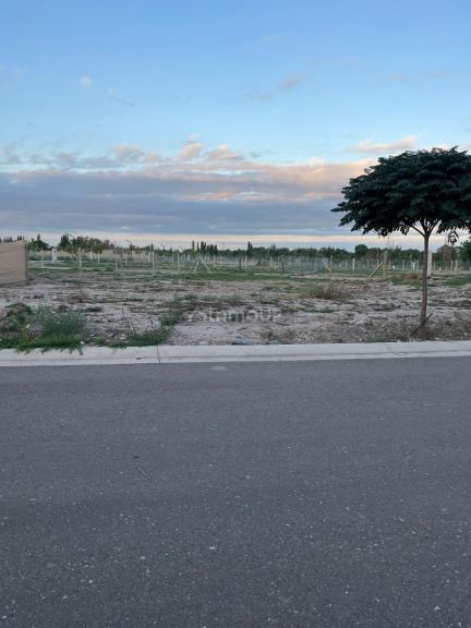 Lote en Venta en Lujan de Cuyo, Mendoza