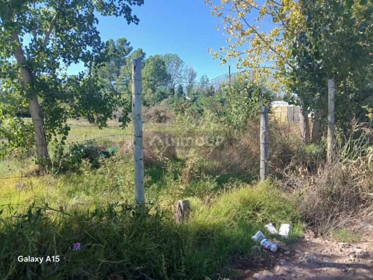 Terreno en Venta en Lujan de Cuyo, Mendoza