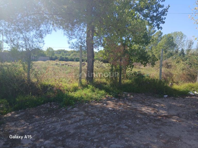 Terreno en Venta en Lujan de Cuyo, Mendoza