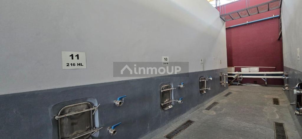 Bodega en Venta en San Rafael, Mendoza