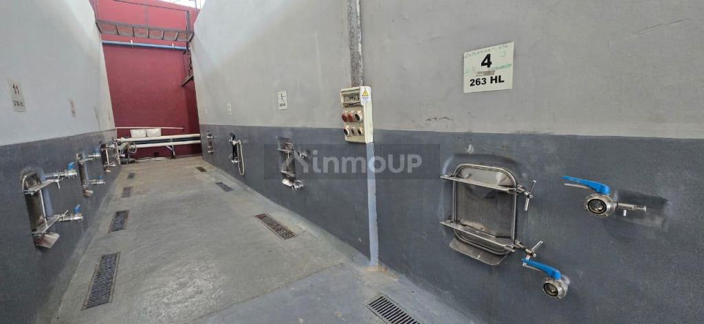 Bodega en Venta en San Rafael, Mendoza