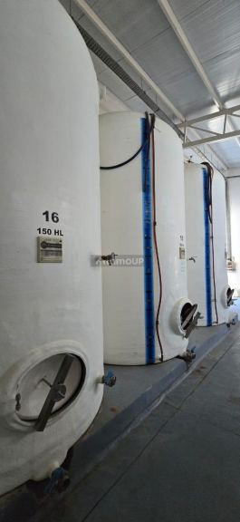 Bodega en Venta en San Rafael, Mendoza