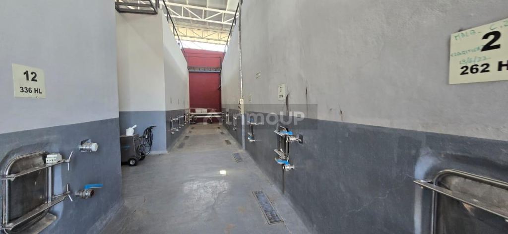 Bodega en Venta en San Rafael, Mendoza