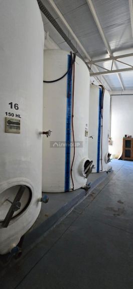 Bodega en Venta en San Rafael, Mendoza