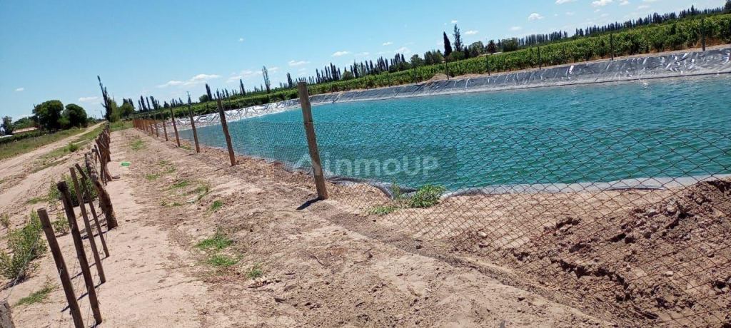 Finca en Venta en San Rafael, Mendoza