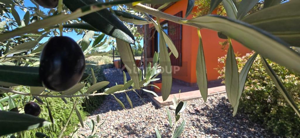 Finca en Venta en San Rafael, Mendoza