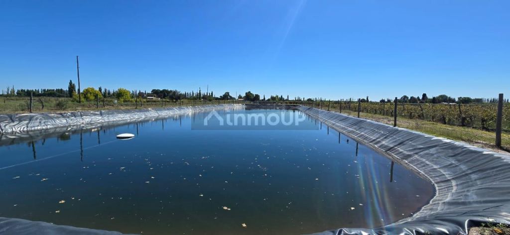 Finca en Venta en San Rafael, Mendoza