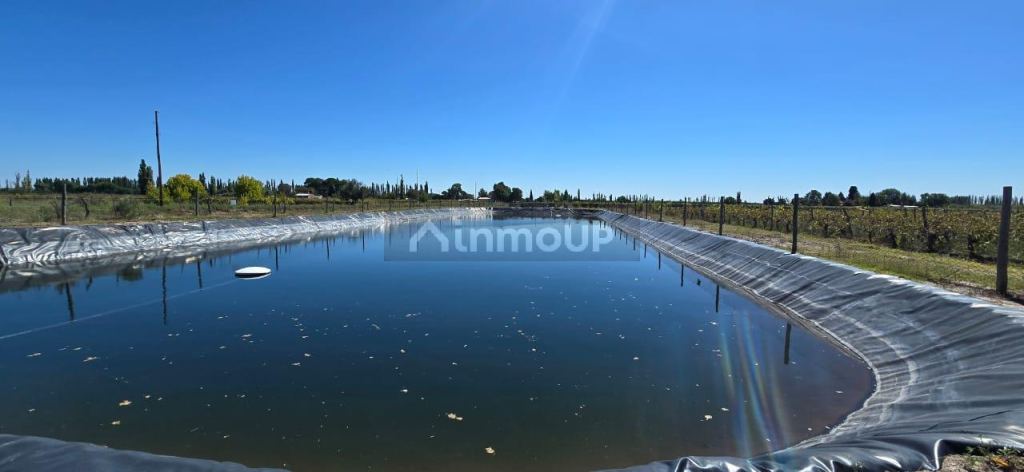 Finca en Venta en San Rafael, Mendoza