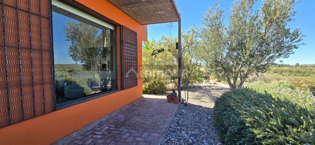 Finca en Venta en San Rafael, Mendoza