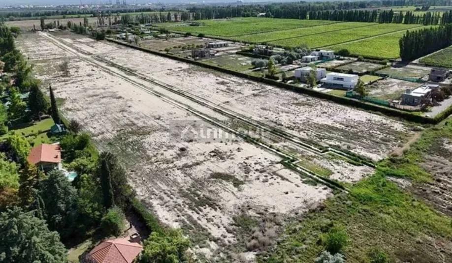 Lote en Venta en Lujan de Cuyo, Mendoza