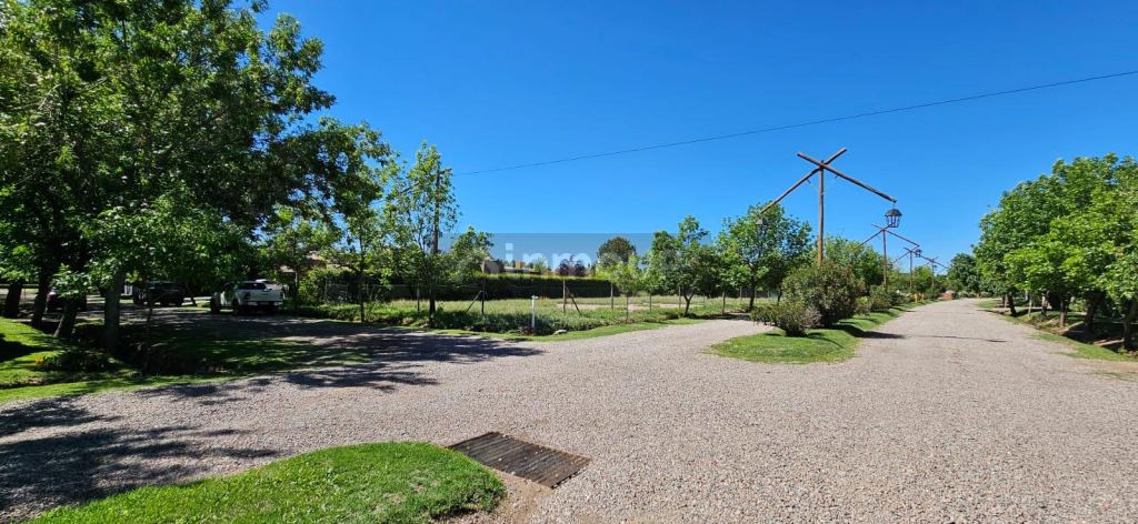 Lote en Venta en Lujan de Cuyo, Mendoza