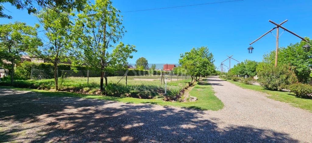 Lote en Venta en Lujan de Cuyo, Mendoza