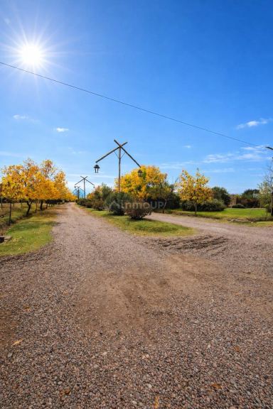Lote en Venta en Lujan de Cuyo, Mendoza