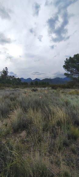 Lote en Venta en Lujan de Cuyo, Mendoza