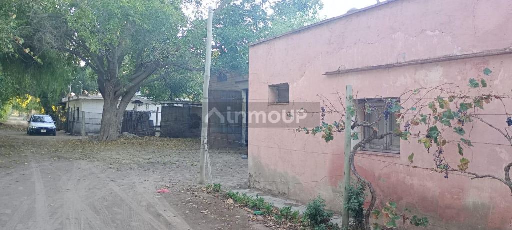Finca en Venta en Junin, Mendoza